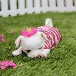 6 Pieces Dog Shirt Puppy Sweatshirt Pet Sleeveless Vest Dog Clothes Doggy Female Apparel for Small to Medium Dogs Puppy Cat(Cute Patterns,S Size)