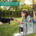 Lifeand Cat Carrier, Dog Carrier, Pet Carrier Airline Approved for Cats, Small Dogs, Kitten, Cat Carriers for Small Medium Cats Under 18lb, Collapsible Soft Sided Cat Travel Carrier