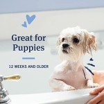 PetArmor Plus Flea and Tick Shampoo for Dogs, Oatmeal Flea Shampoo Kills Fleas, Ticks, and More, Tropical Breeze Scent, 18oz