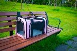 NextFri Soft Sided Carrier for Small Medium Cats Dogs,TSA Airline Approved Collapsible Travel Pet Carrier Medium Pink