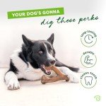 Benebone Wishbone Durable Dog Chew Toy for Aggressive Chewers, Made in USA, Small, Real Bacon Flavor