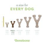 Benebone Wishbone Durable Dog Chew Toy for Aggressive Chewers, Made in USA, Small, Real Bacon Flavor