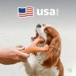 Benebone Wishbone Durable Dog Chew Toy for Aggressive Chewers, Made in USA, Small, Real Bacon Flavor