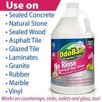 OdoBan Pet Solutions Neutral pH Floor Cleaner Concentrate, 1 Gallon, and Oxy Stain Remover, 32 Ounce Spray