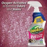 OdoBan Pet Solutions Neutral pH Floor Cleaner Concentrate, 1 Gallon, and Oxy Stain Remover, 32 Ounce Spray