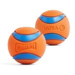 Chuckit! Ultra Ball Dog Toy - Small Bouncy Fetch Balls For Dogs 0-20 lbs - Made from Durable Rubber - Floating Water Pet Toys - Size Small - 2-inch Diameter - Pack of 2