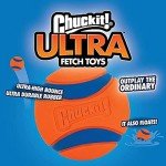 Chuckit! Ultra Ball Dog Toy - Small Bouncy Fetch Balls For Dogs 0-20 lbs - Made from Durable Rubber - Floating Water Pet Toys - Size Small - 2-inch Diameter - Pack of 2