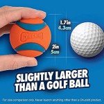 Chuckit! Ultra Ball Dog Toy - Small Bouncy Fetch Balls For Dogs 0-20 lbs - Made from Durable Rubber - Floating Water Pet Toys - Size Small - 2-inch Diameter - Pack of 2