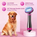 PARSMARDO Hair Dryer Brush for Small/Medium Dog & Cat, 2 in 1 Pet Grooming Dryer, 2 Heat Settings & 3 Adjustable Blowing Dryer, White