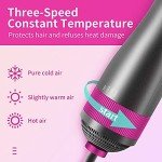 PARSMARDO Hair Dryer Brush for Small/Medium Dog & Cat, 2 in 1 Pet Grooming Dryer, 2 Heat Settings & 3 Adjustable Blowing Dryer, White