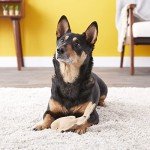 SPOT Dura-Fused Leather Rabbit - Durable Dog Toy with Squeaker, Real Leather & Jute Fabric, Interactive Toy for Moderate & Aggressive Chewers, Small and Medium Dogs and Puppies, 7.5in