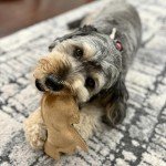 SPOT Dura-Fused Leather Rabbit - Durable Dog Toy with Squeaker, Real Leather & Jute Fabric, Interactive Toy for Moderate & Aggressive Chewers, Small and Medium Dogs and Puppies, 7.5in