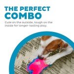 Outward Hound Durablez Tough Plush Squeaky Dog Toy, Pig, Pink, XS
