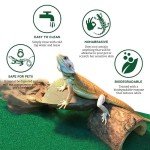 SunGrow, Reptile Mat, Terrarium Floor Liner, 30BR/40BR/50/65 Gallon, Substrate Carpet, Soft Bedding for Reptiles - Gecko, Lizard, Snake, Tortoise, Reptile Cage Tank Supplies & Accessories, Green, 1Pc