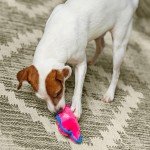 Outward Hound Durablez Tough Plush Squeaky Dog Toy, Pig, Pink, XS