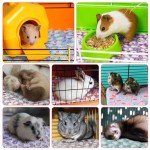 Newwiee 20 Pcs Small PET Fleece Blanket Washable Waterproof Small Animal Cage Bedding Guinea Pig Puppy Dog Cat Pee Pad Liner Accessories(18 x 13 Inch, Assorted)