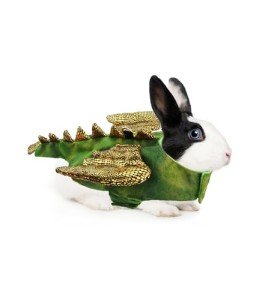 Cute Dinosaur Halloween Costume for Small Pets