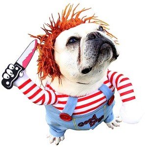 Charming Halloween Costume for Small Dogs