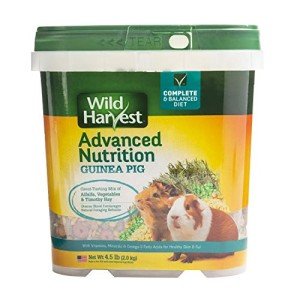 Wild Harvest Advanced Nutrition Diet for Guinea Pigs
