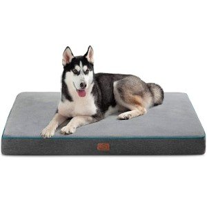 Large Orthopedic Waterproof Memory Foam Dog Bed