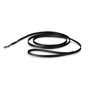 PetSafe Nylon Dog Leash – Strong, Durable, Traditional Style Leash with Easy to Use Bolt Snap for Small, Medium and Large Dogs – 3/8" x 6', Black