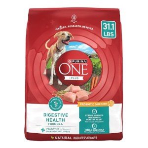 Purina One Digestive Health Dry Dog Food - 31.1 Lb