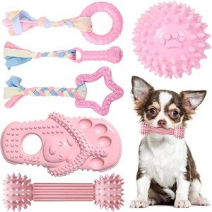TENGZHI 6 Pack Dog Toys for Small Dog Pink Soft Rubber Puppy Toys for Teething Funny Slippers Ball Donut Interactive Set for Small Dog Teething Toys Pet Puppy Toys Set