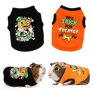 Guinea Pig Cute Printed Warm Vest Shirts