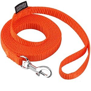 AMAGOOD 6 FT Cat Leashes, Strong Traditional Style Leash with Easy to Use Collar Hook,Cat Lead Great for Cats (3/8 in x 6 ft(Pack of 1), Orange)