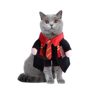 Adorable Wizard Costume for Pets - Small to Medium