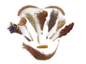 JFWOD Natural Hamster Bedding Flowers Herbs Sprays Treat Cereal Grain for Cage Habitat Enclosure Decor Hamster Chews for Dwarf Syrian Gerbils Mice Mouse Rat Forage Pet Hamster Accessories Supplies