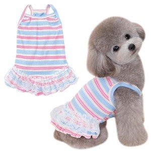 Winmany Summer Vest & Tutu for Dogs/Cats
