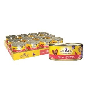 Wellness Complete Health Grain-Free Salmon Cat Food