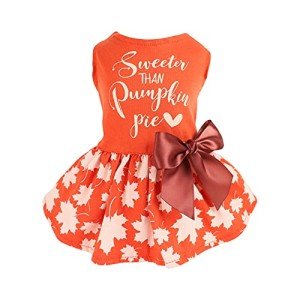 Thanksgiving Pumpkin Pie Dog Dress for Pets