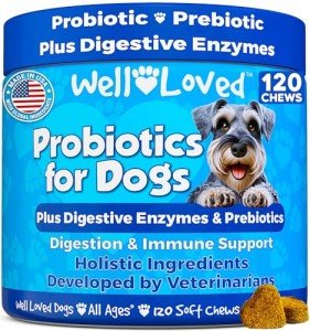 Probiotics and Digestive Enzymes for Dogs