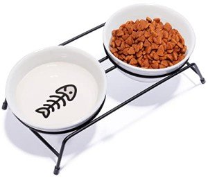 Elevated Ceramic Cat Bowls with Stainless Steel Stand