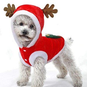 Festive Christmas Costumes for Dogs and Cats