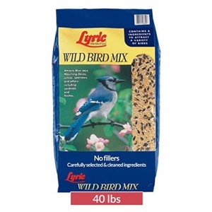Lyric Wild Bird Mix for Outdoor Feeders, 40 lbs