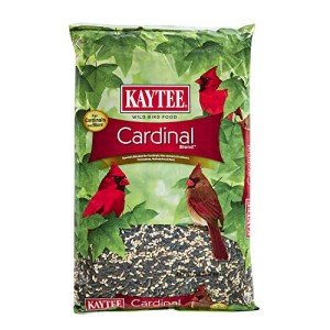 Kaytee Cardinal Blend Bird Seed for Wild Birds