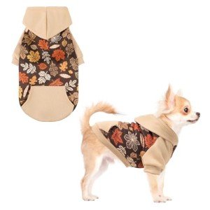 Kooltail Fall Dog Hoodie with Maple Leaf Design