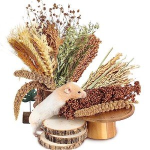 Natural Grain Flower & Herb Bedding for Pets
