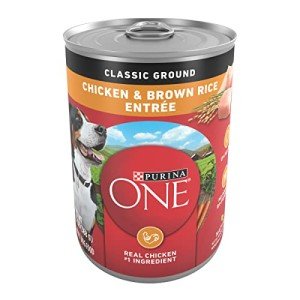Purina ONE Ground Chicken & Rice Dog Food 12-Pack