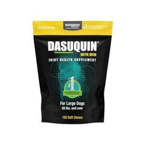Dasuquin MSM Soft Chews for Large Dogs