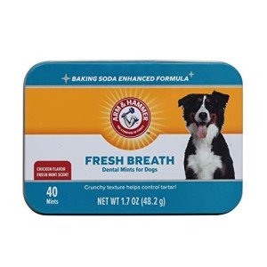 Arm & Hammer Dental Mints for Fresh Dog Breath