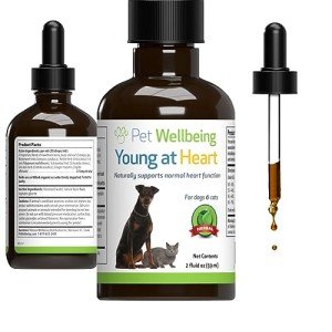 Young at Heart: Herbal Supplement for Dogs
