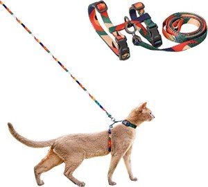 Adjustable Escape Proof Cat Harness and Leash Set