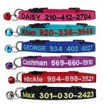 Personalized Embroidered Cat ID Collar with Bell