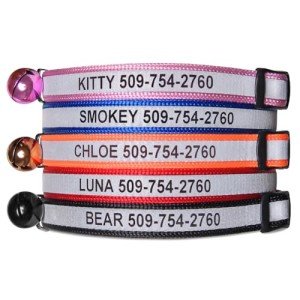 Personalized Reflective Cat Collar with Engraving