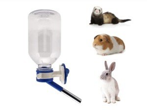 No-Drip Water Feeder for Small Pets - Blue