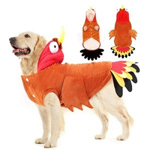 Turkey Dog Costume for Thanksgiving Celebrations